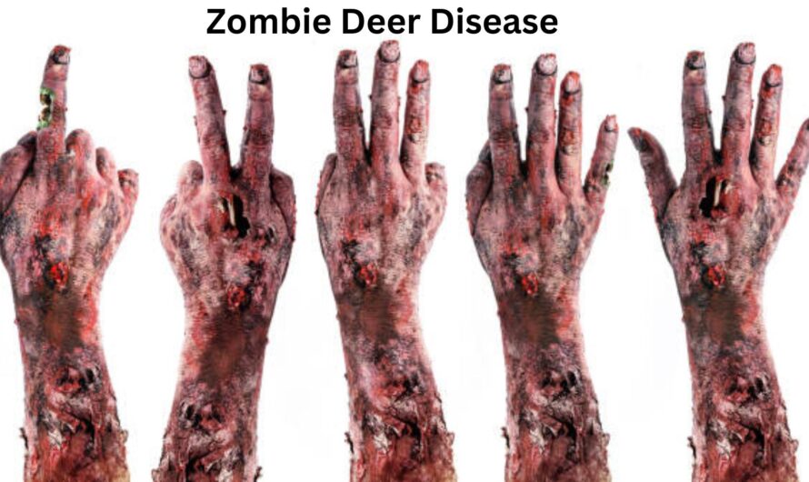 Zombie Deer Disease in Human | What Causes CWD?