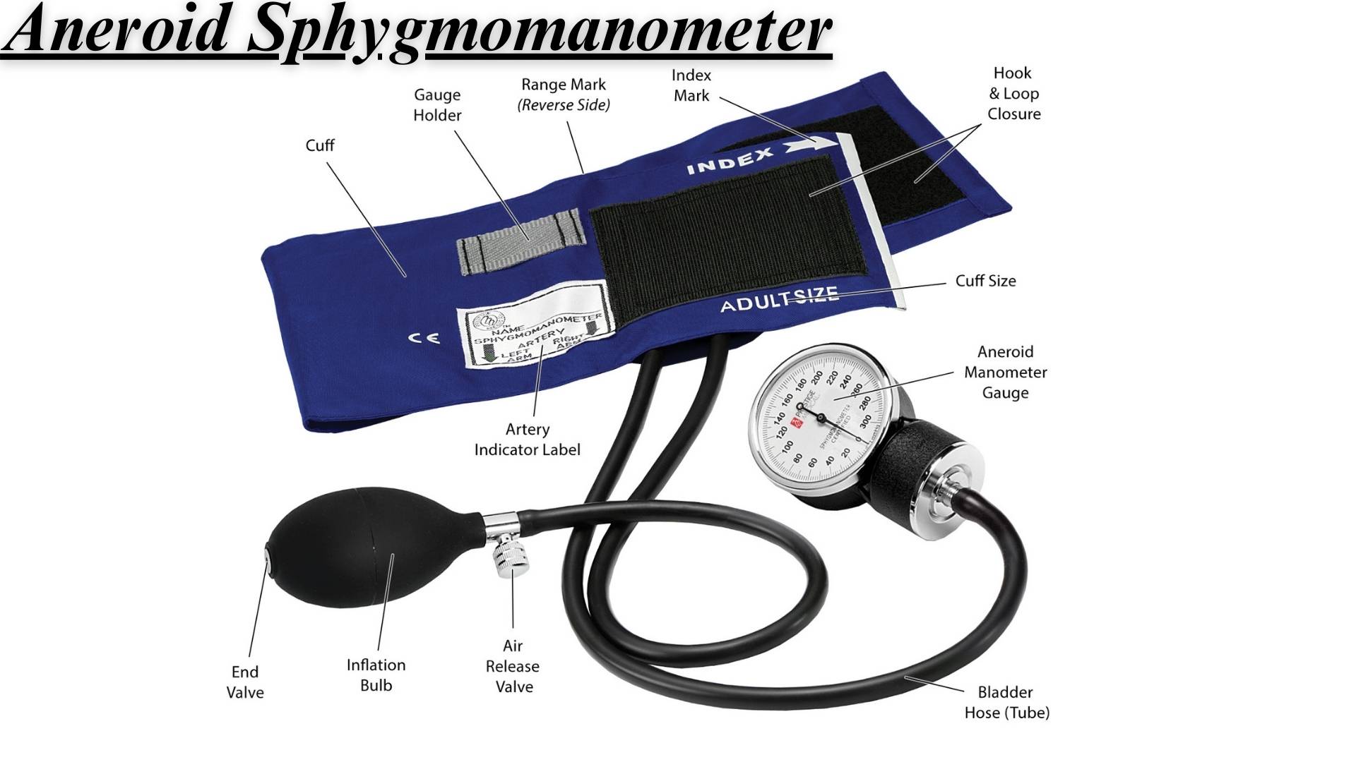 Aneroid Sphygmomanometer